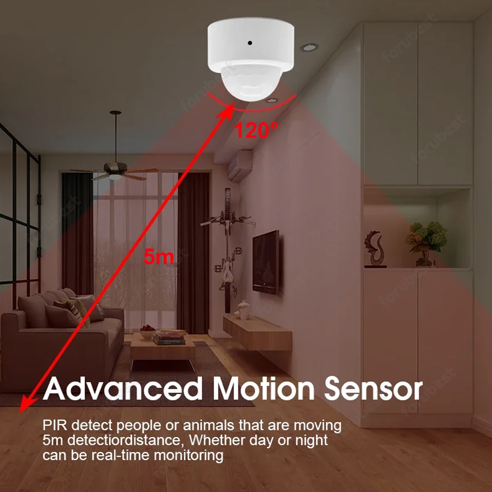 Zigbee 3.0 Sensor gerak manusi - Home Security With Alarm ulasan dan harga